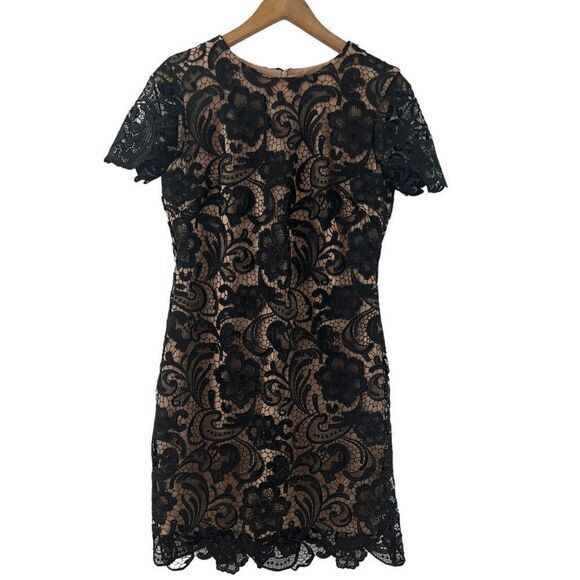 Dress the Population Black Lace Dress - Picture 1 of 7